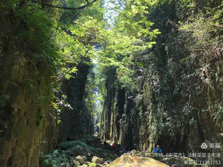 绝情谷探险